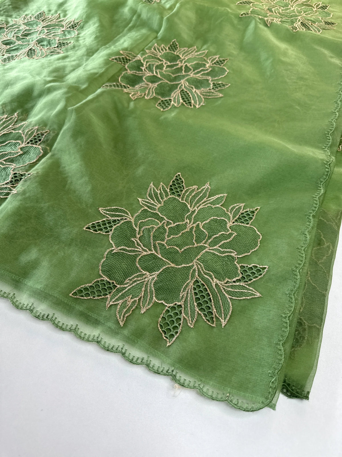 Soft organza saree/ CW766