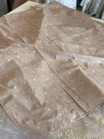 Tissue kotta saree /A6757