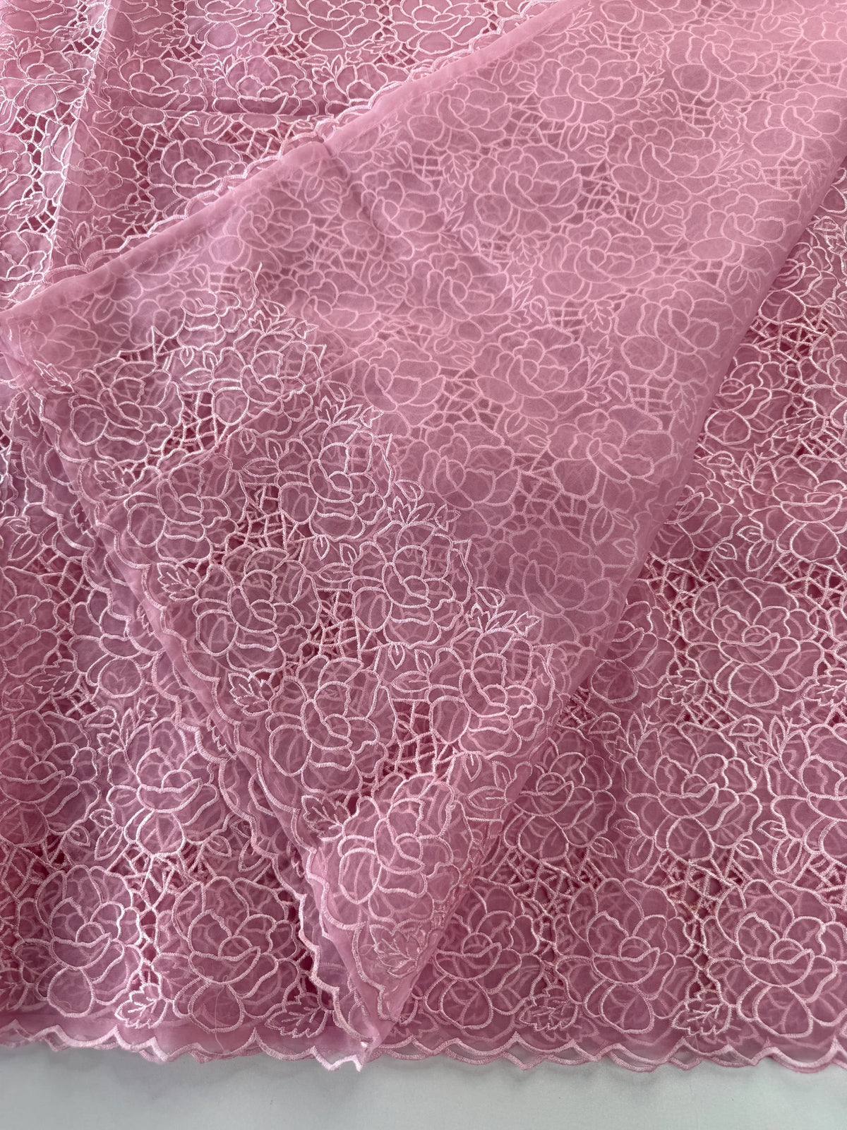 Soft Organza Saree/ AM103