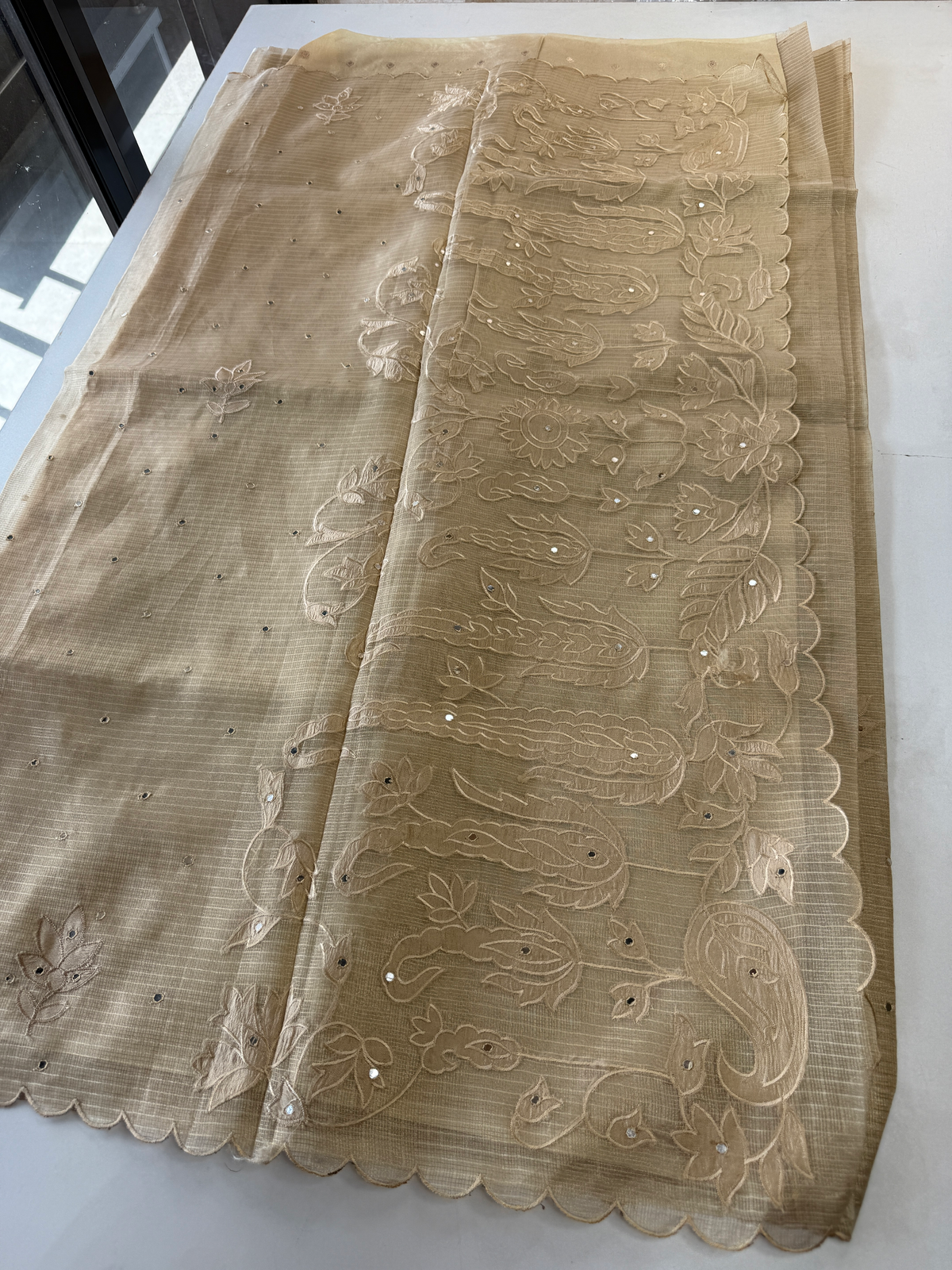Tissue kotta Saree/ A3689