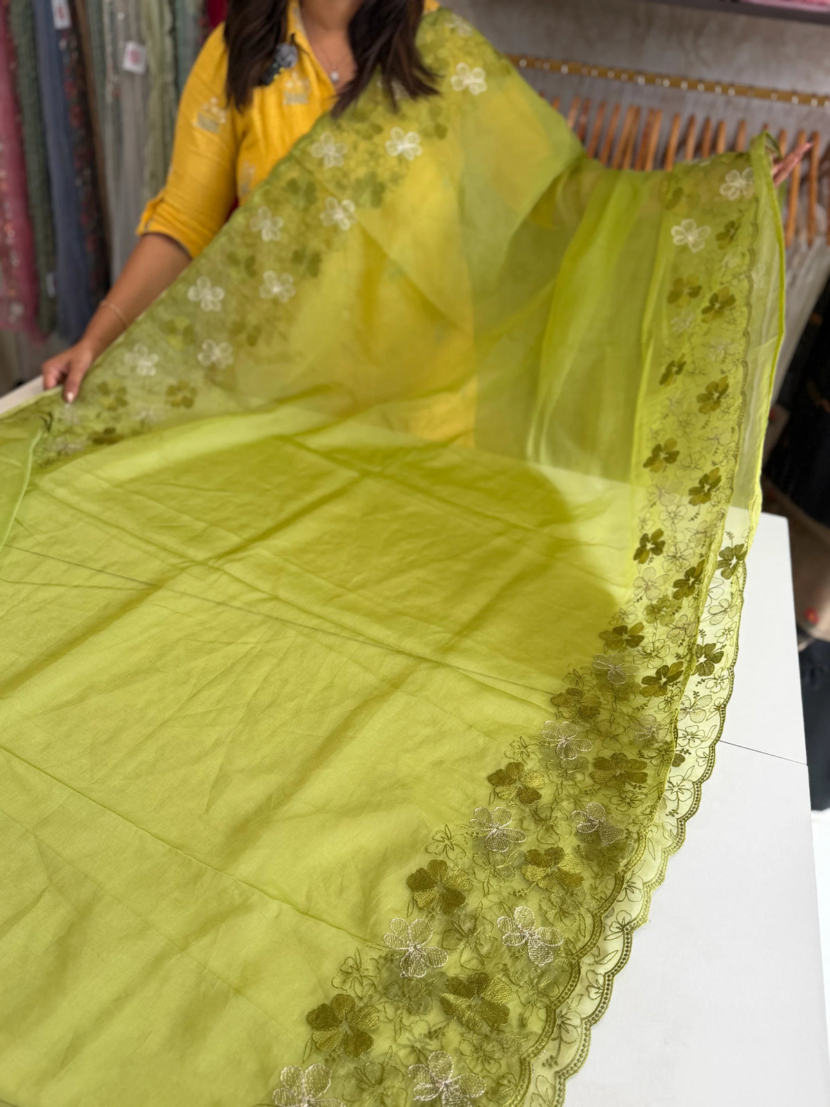Soft organza Saree/ CW804