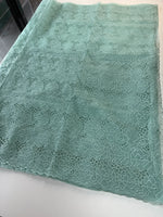 Soft Organza Saree/ AM103