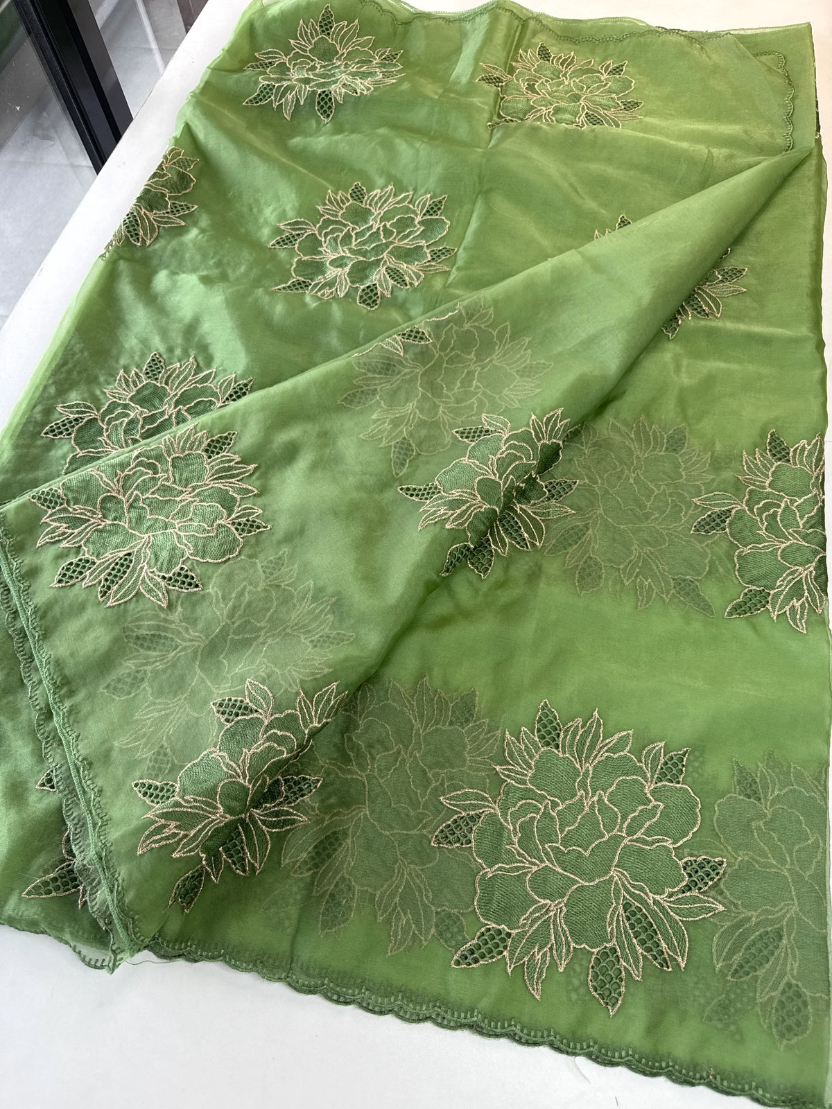 Soft organza saree/ CW766