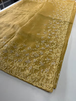 Tissue Chanderi saree/ HL456