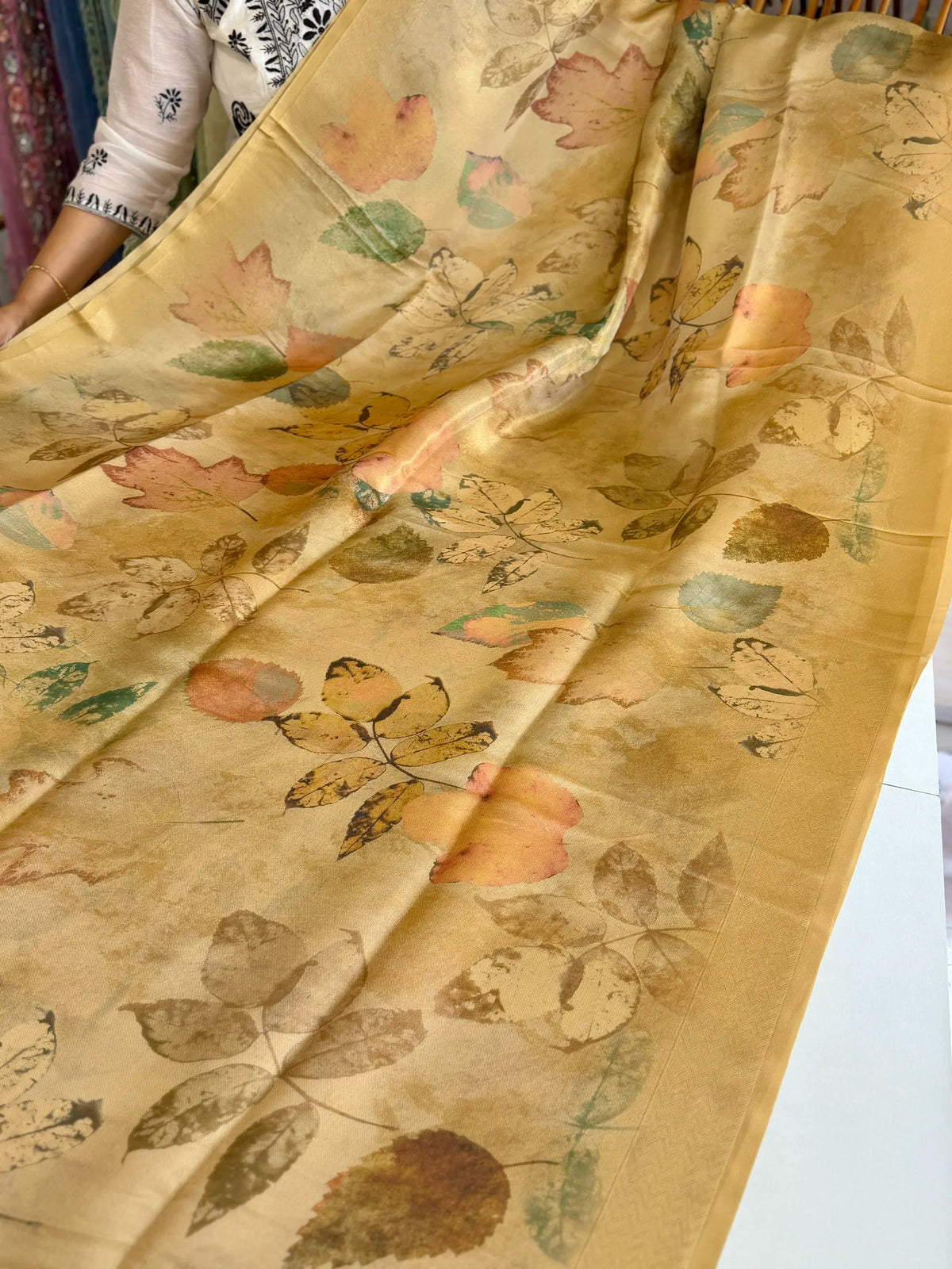 Tissue saree/ SB101