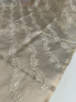 Tissue saree/ 2602
