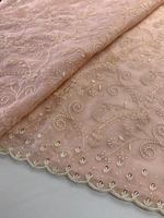 Soft Organza Saree / 221A