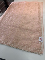 Soft Organza Saree / 221A