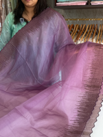Soft organza saree/ CW296