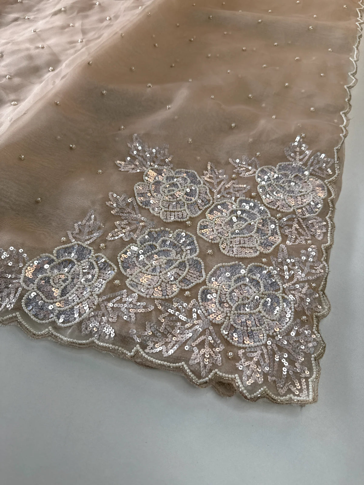 Glass Organza Saree/ AP1010