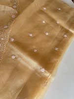 Glass organza party wear saree/ SA850