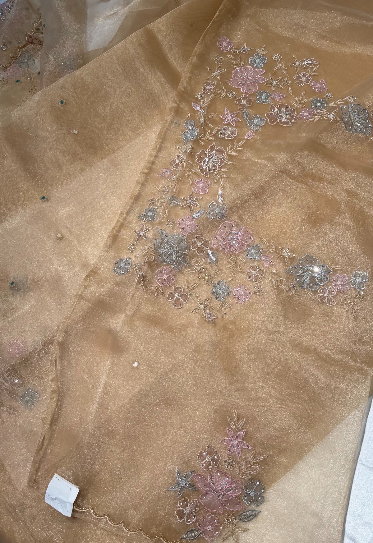 Glass organza saree/ AS762