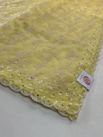 Soft Organza Saree / 221A