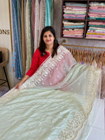 Soft organza saree/ AP299