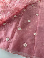 Soft Organza Saree/ CW779