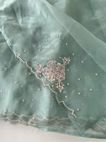 Glass Organza Saree/ AP1010