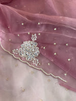 Glass Organza Saree/ AP1010