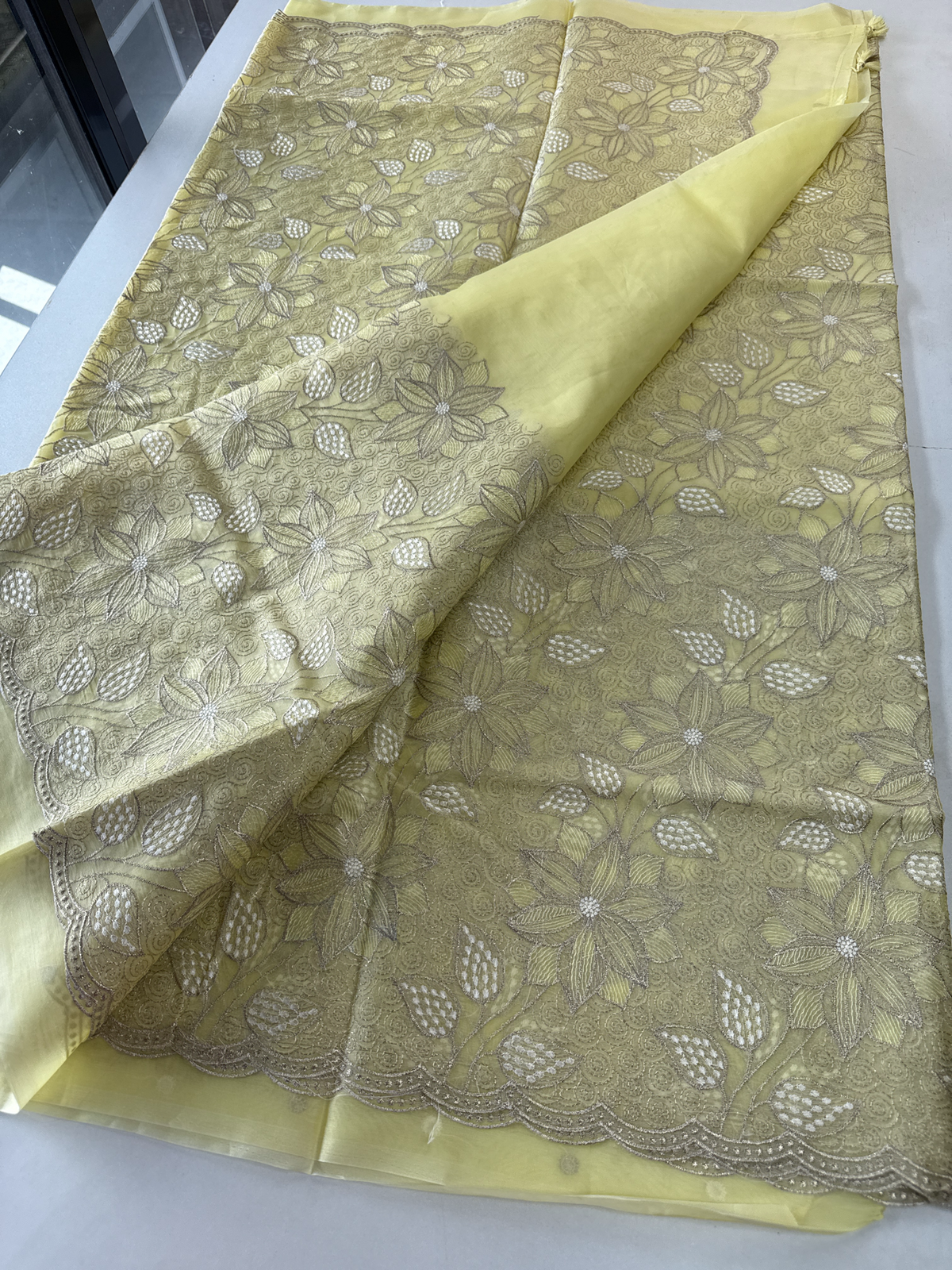 Organza Saree/ Ss845