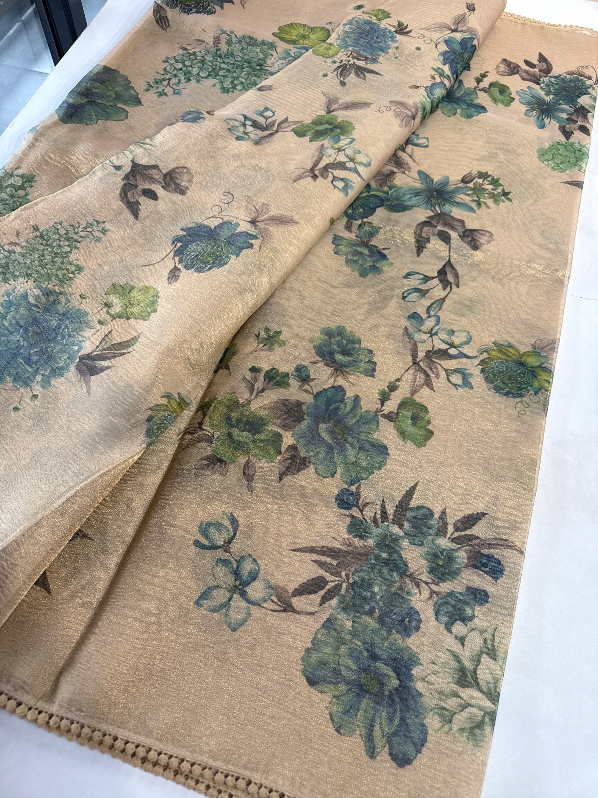 Tissue saree / BE01