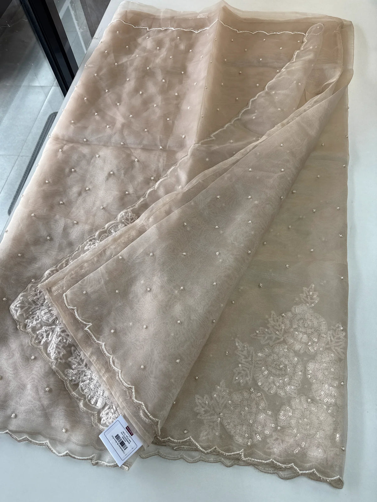 Glass Organza Saree/ AP1010