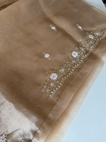 Glass organza party wear saree/ SA850