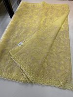 Soft Organza Saree / 221A