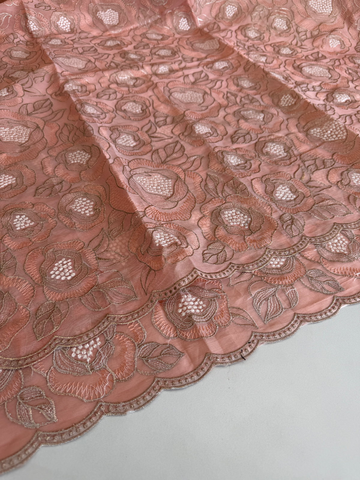 Organza Saree/ SS843