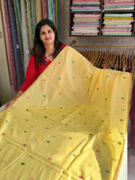 Soft Chanderi jamdhani weaves / SA74
