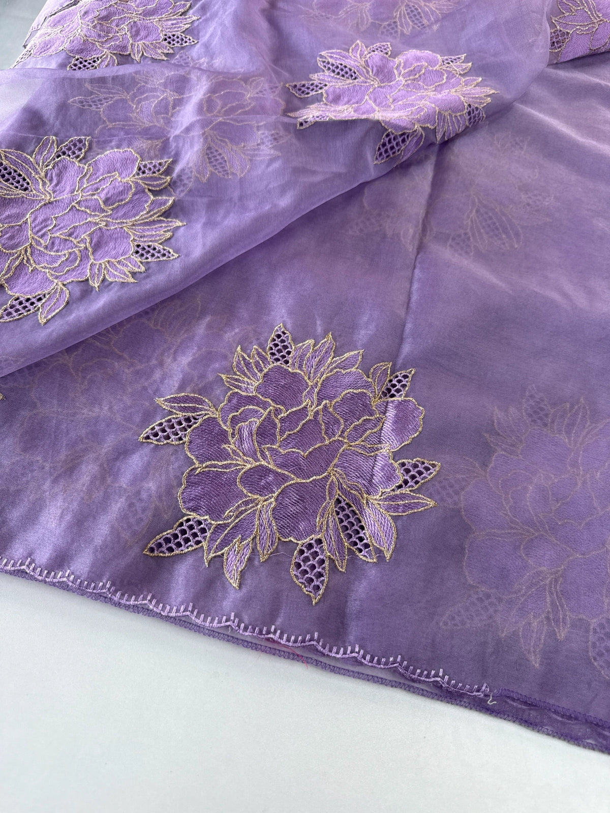 Soft organza saree/ CW766