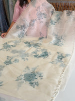 Glass Organza/ BL548