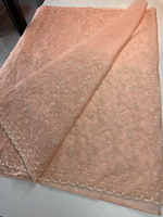 Soft Organza Saree / 221A