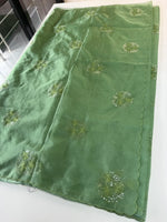Soft organza saree/ CW038