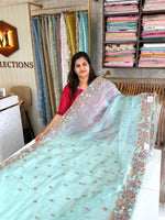 Glass organza saree/ 67HL