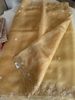 Glass organza party wear saree/ SA850