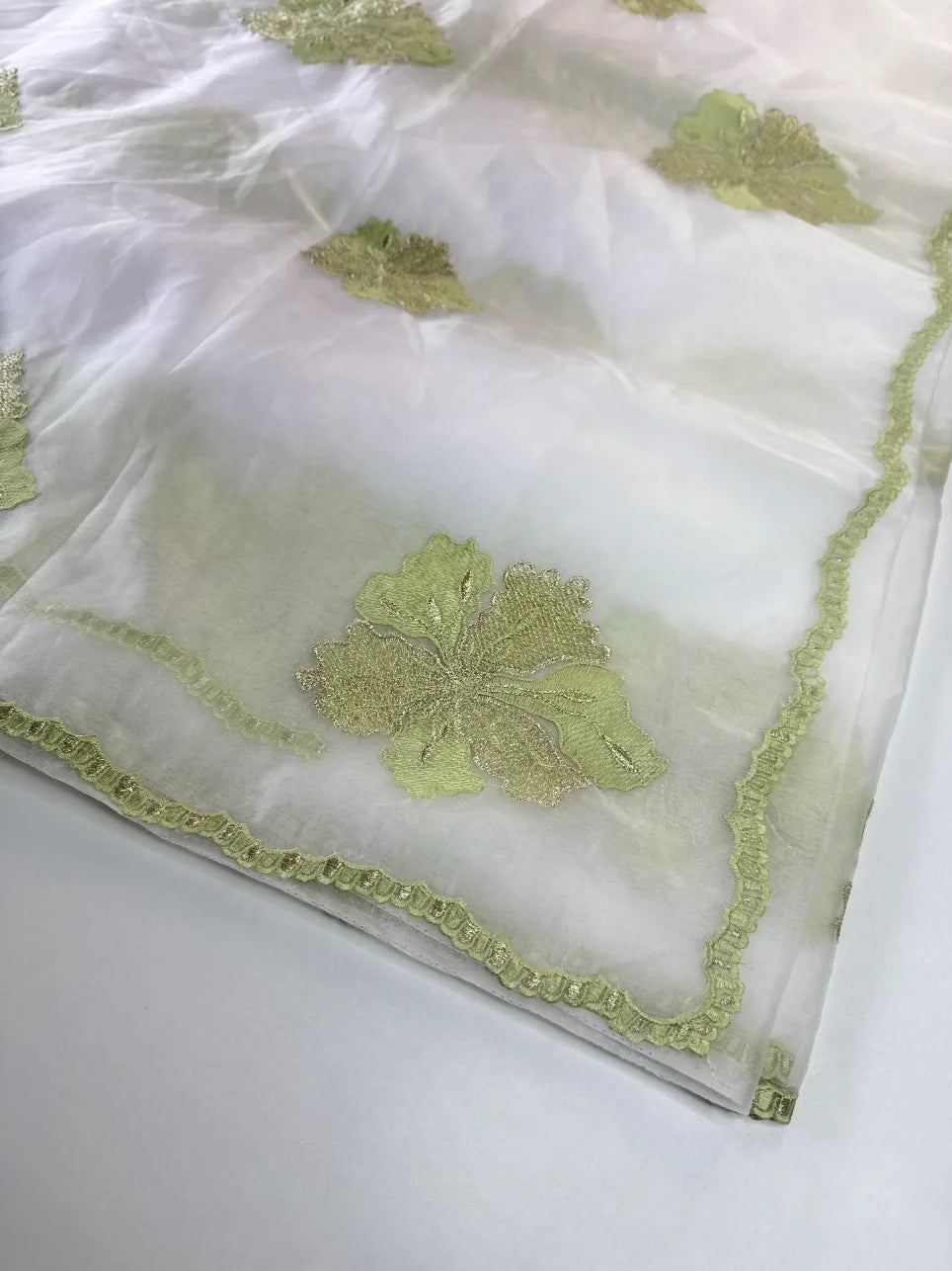 Soft organza saree/ CW865