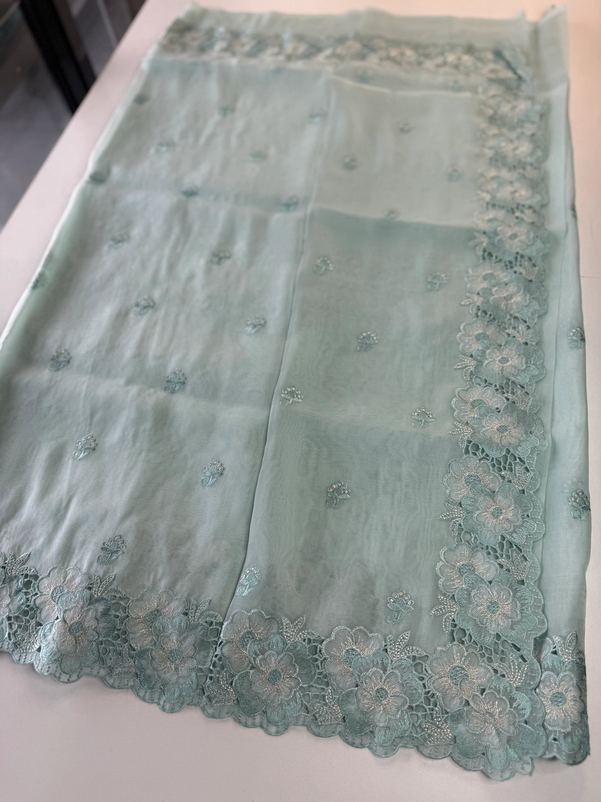 Organza Saree/ 6296