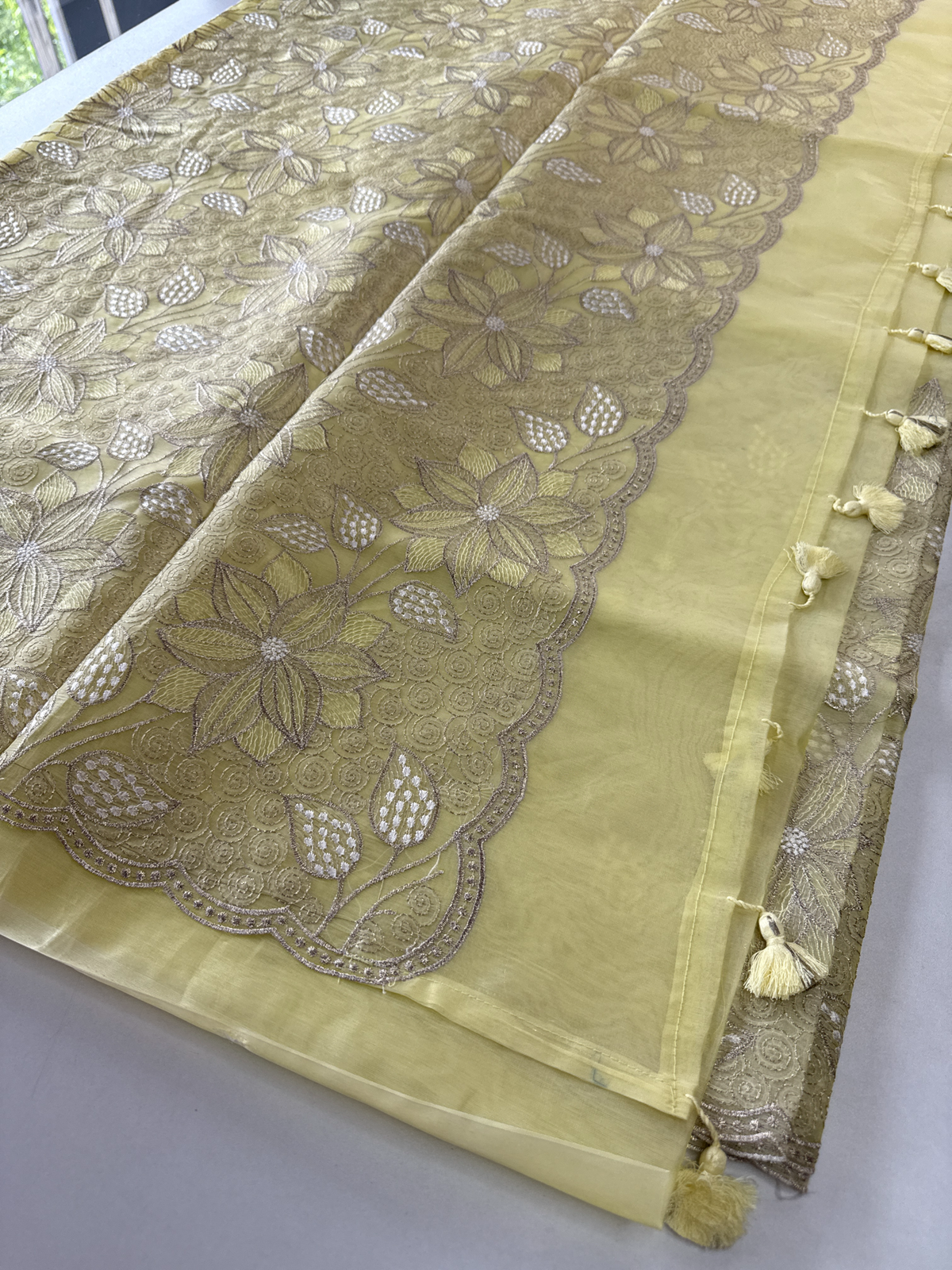 Organza Saree/ Ss845