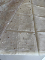 Organza saree/ 845S