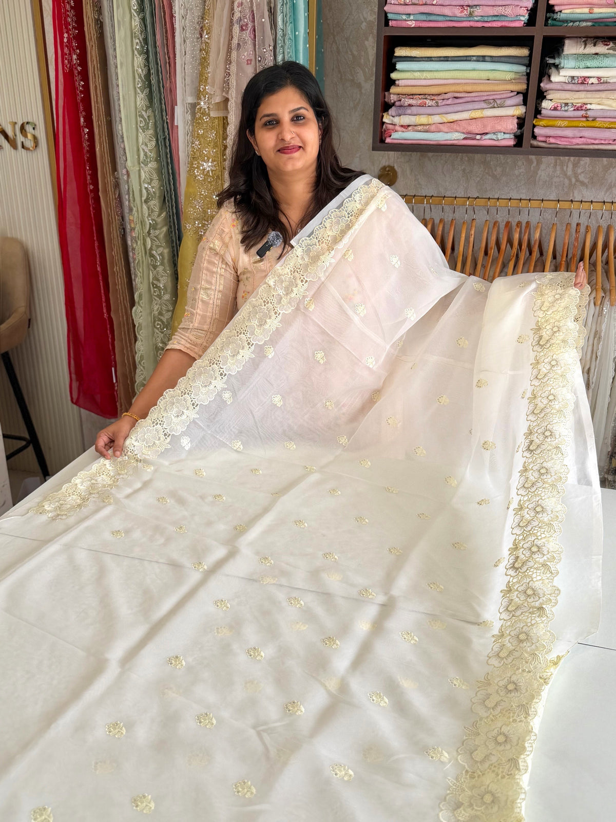 Organza Saree/ 6296
