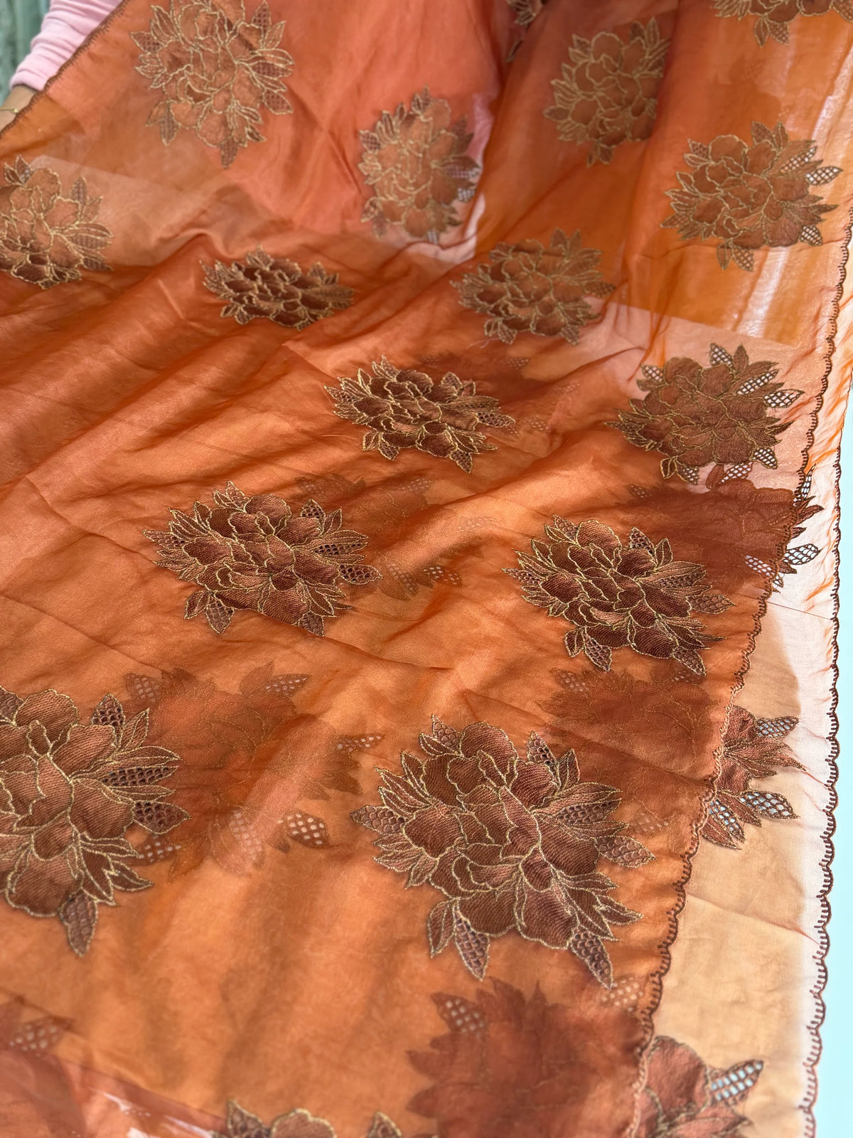 Soft organza saree/ CW766