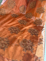 Soft organza saree/ CW766