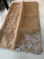 Glass Organza Saree/ AP1010