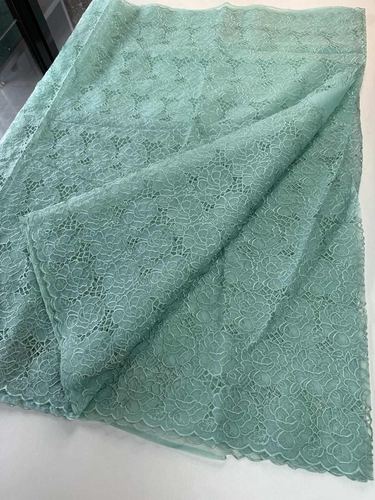 Soft Organza Saree/ AM103