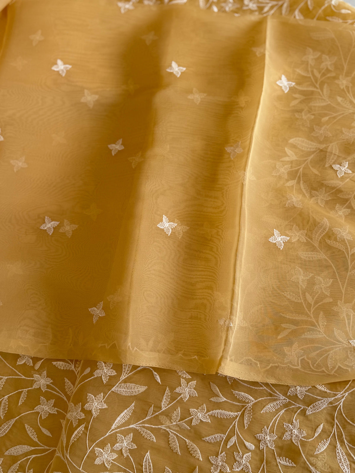 Viscous organza saree/ BL137