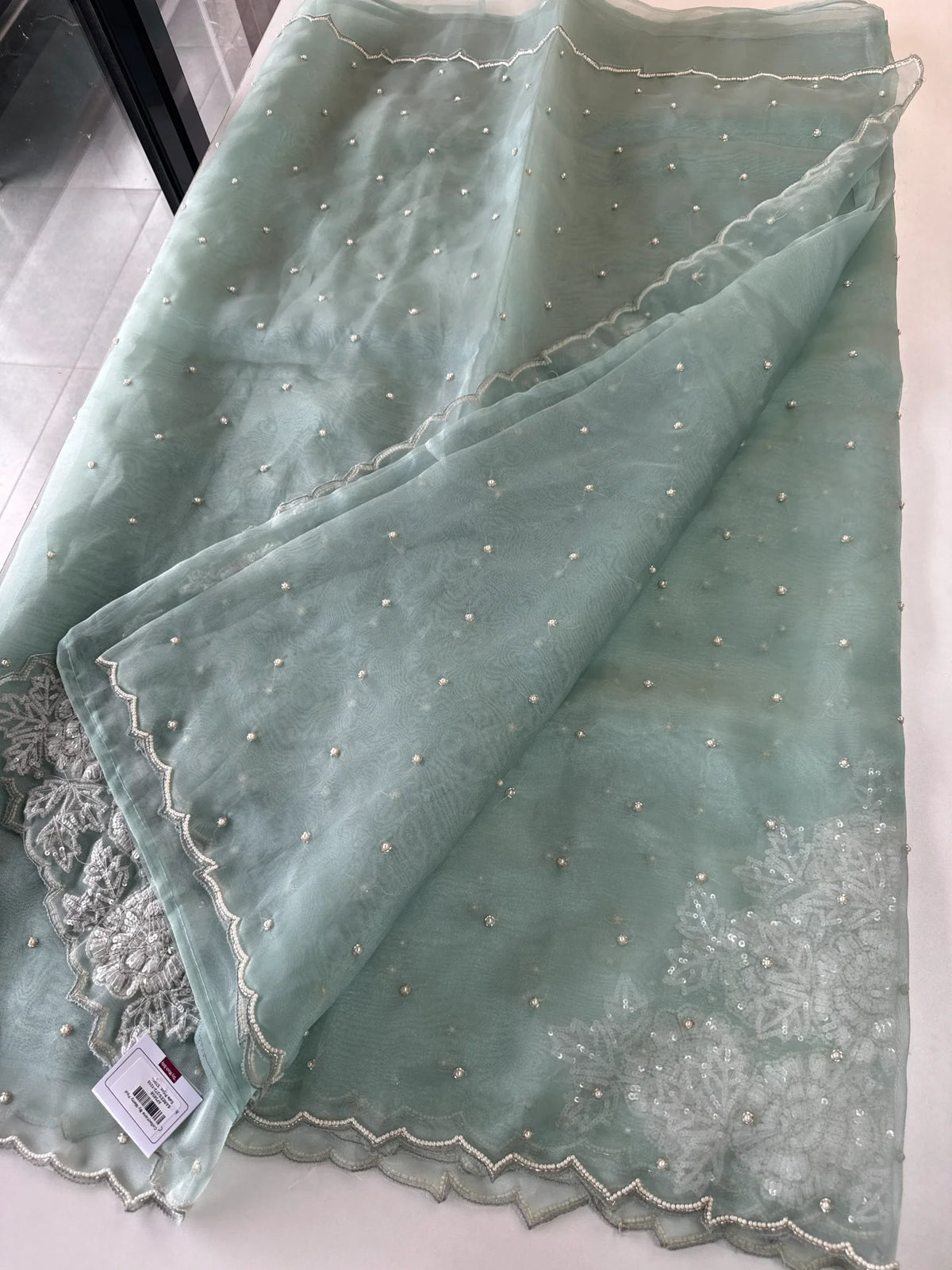 Glass Organza Saree/ AP1010