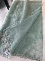 Glass Organza Saree/ AP1010