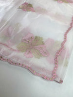 Soft organza saree/ CW865