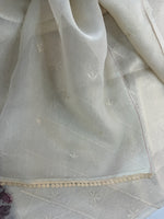 Net kotta Saree/ 647B