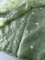 Soft Organza Saree/ CW779