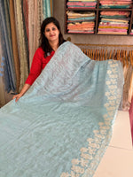 Crushed Organza saree/ BC602